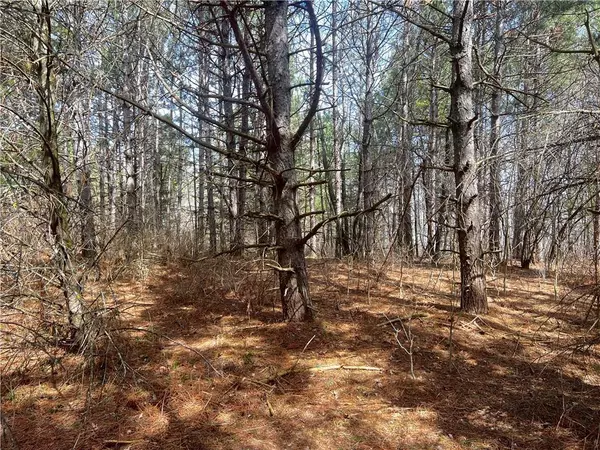 Cumberland, WI 54829,Lot 6 3 1/4 5th Street