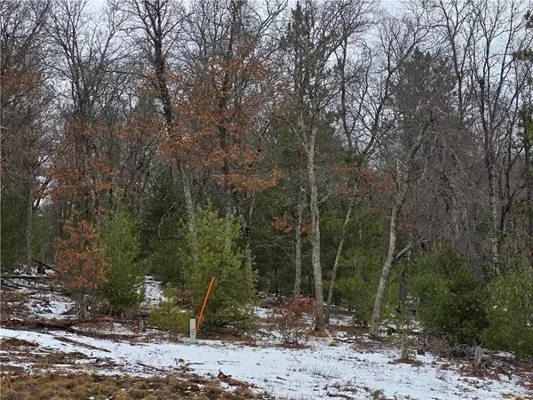 Danbury, WI 54830,Lot 1 State Road 77