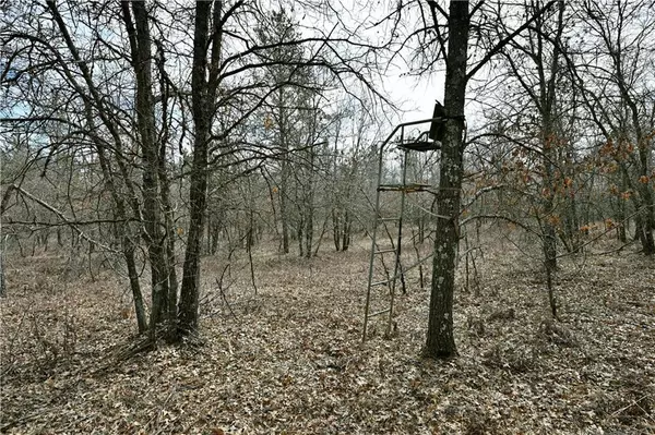 Spooner, WI 54801,40 Acres East Flowage Road