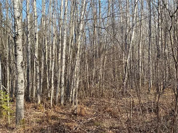 Near Maple Road, Phillips, WI 54555