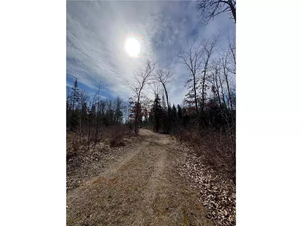 Spooner, WI 54801,xxx Yellowsands Drive
