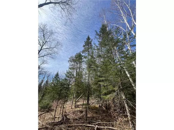 Spooner, WI 54801,xxx Yellowsands Drive