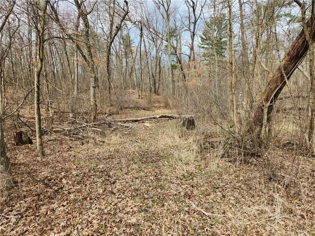 Black River Falls, WI 54615,0 State Highway 12/27