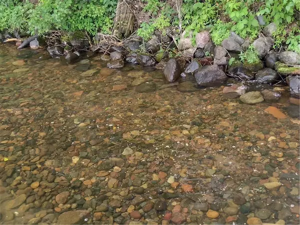 Stone Lake, WI 54876,15470W Victory Heights Circle