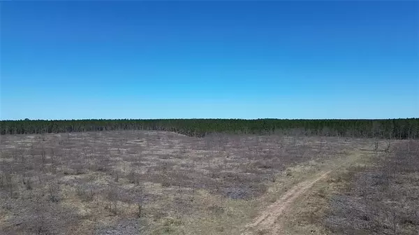 Barnes, WI 54873,N/A Ellison Lake Road