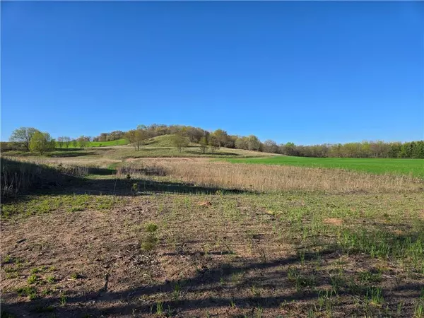 Wheeler, WI 54772,16.74 acres County Road N