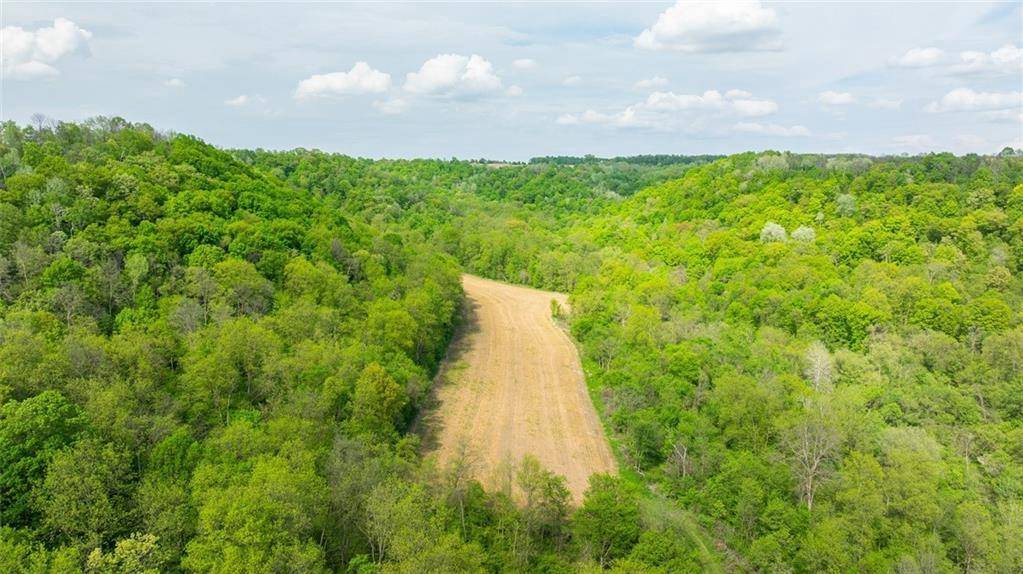 Plum City, WI 54761,0 145 Avenue