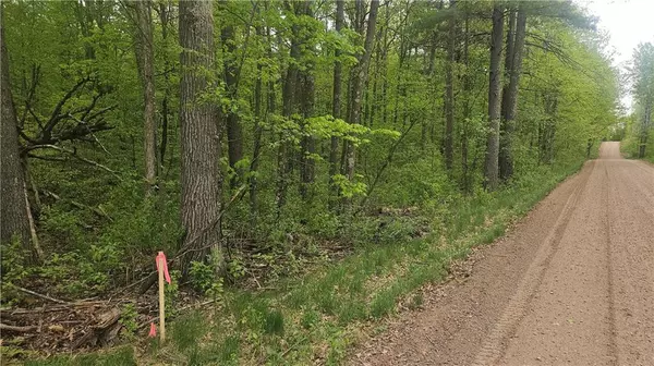 Lot 2 Buckeye Lane, Stone Lake, WI 54876