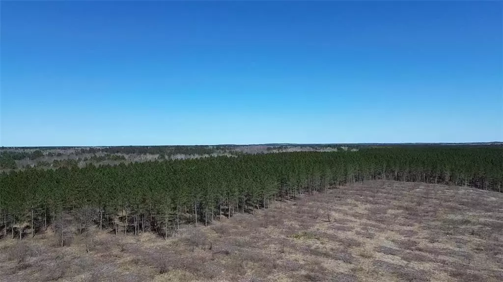 Barnes, WI 54873,N/A Tomahawk Lake Road