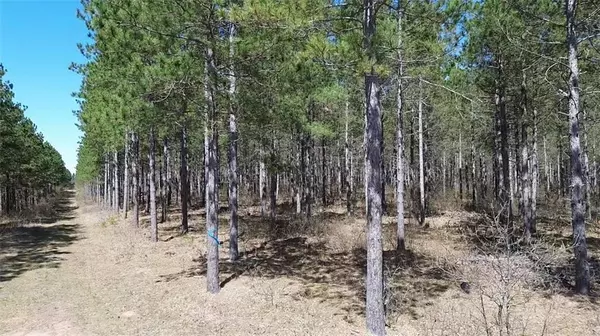 Barnes, WI 54873,N/A Ellison Lake Road