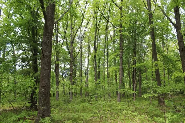 Neillsville, WI 54456,N1649 Miller Avenue