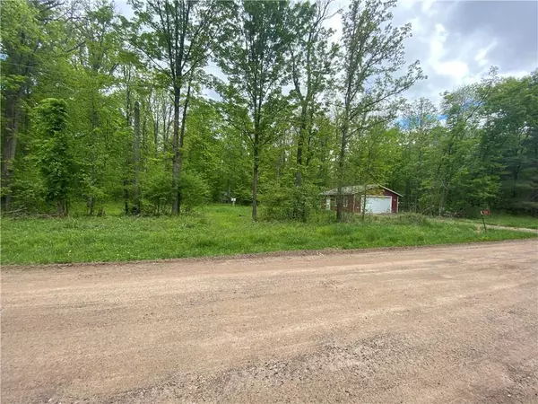 Birchwood, WI 54817,2828 27 7/8 Avenue