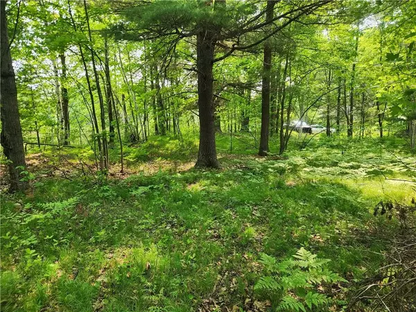 Cumberland, WI 54829,0 25 1/2 Avenue