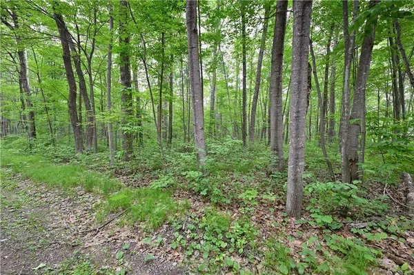 Hayward, WI 54843,Lot 2 Chippewa Avenue