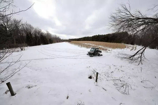 Bruce, WI 54819,110 Acres County Road O