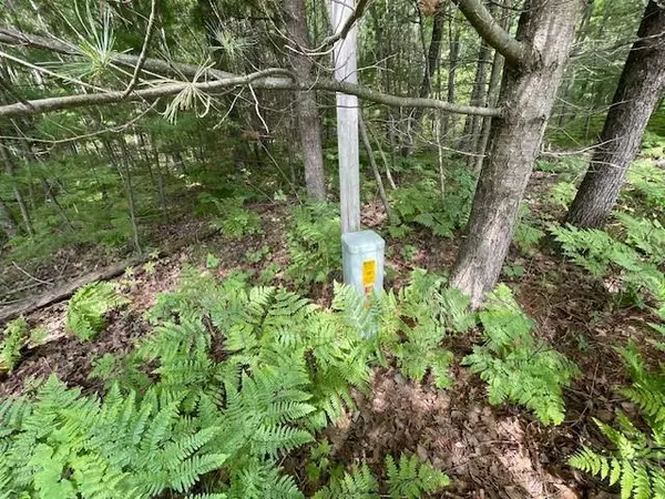 Barnes, WI 54873,0 East Shore Drive