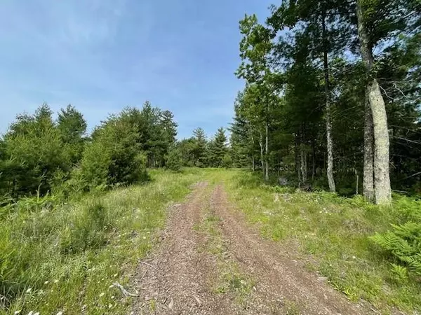 Barnes, WI 54873,0 East Shore Drive