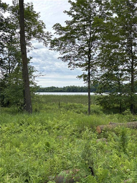 Ladysmith, WI 54848,N6004 Thronson Dr.