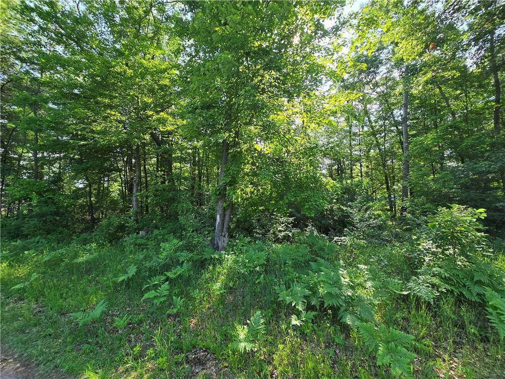 Lot 2 & 3 Nelson Street, Grantsburg, WI 54840