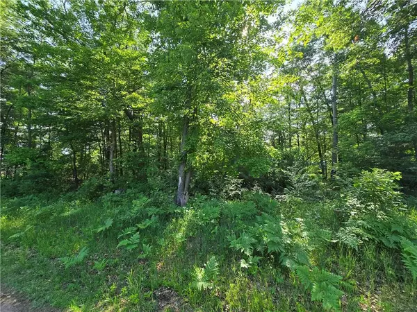 Lot 2 & 3 Nelson Street, Grantsburg, WI 54840