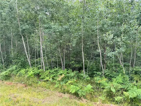 Barnes, WI 54873,0 E Wilderness Court