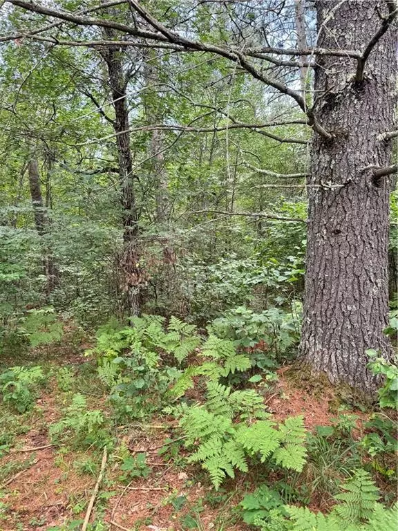 0 E Wilderness Court, Barnes, WI 54873