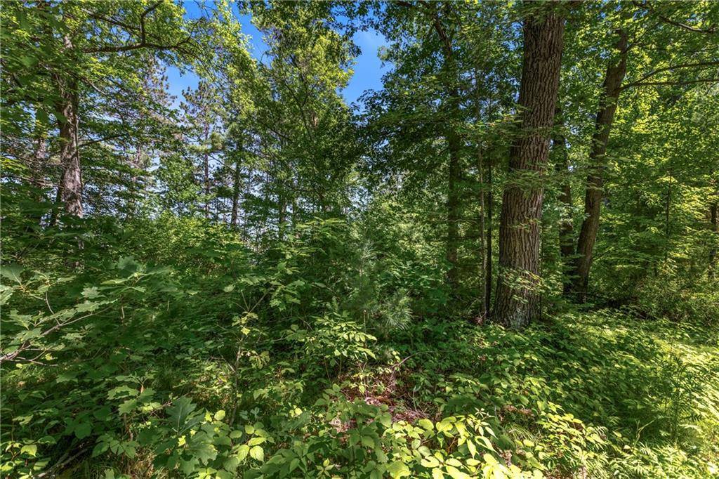 Hayward, WI 54843,14288 W Poplar Lane