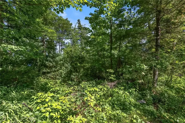 Hayward, WI 54843,14288 W Poplar Lane