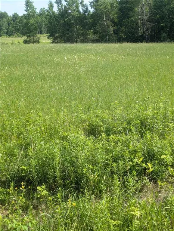 Stanley, WI 54768,Lot 3 CSM # 2158 165th Avenue