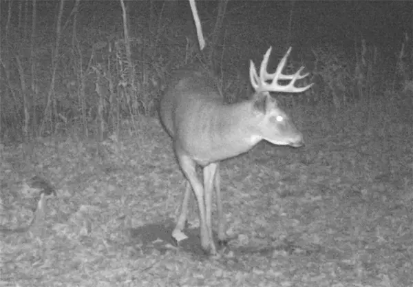 Clayton, WI 54004,319 1st Avenue