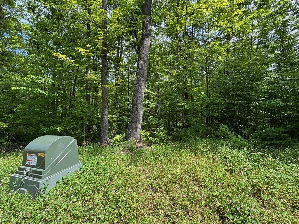 10134N Hardwood Hills Dr, Hayward, WI 54843