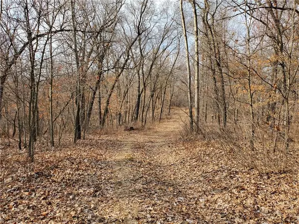 Lot 1 Schroeder Rd, Whitehall, WI 54773