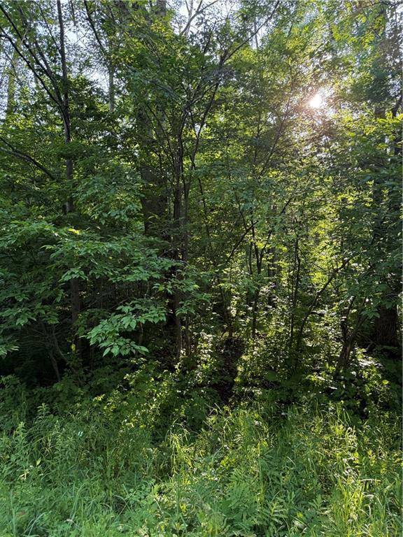 0 Mack Lake Road, Trego, WI 54888