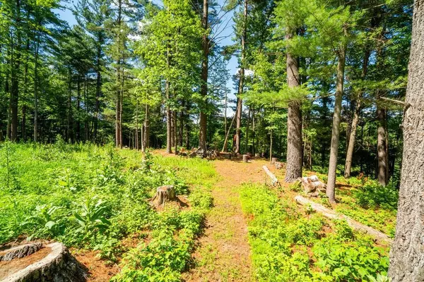 Chippewa Falls, WI 54729,12522 135th Avenue