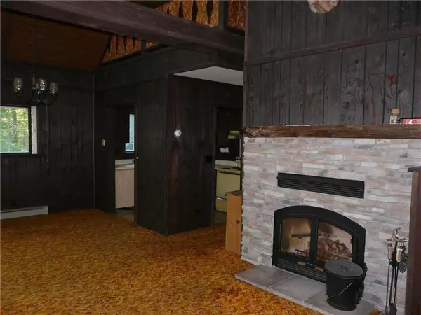 Danbury, WI 54830,4571 Wilderness Way