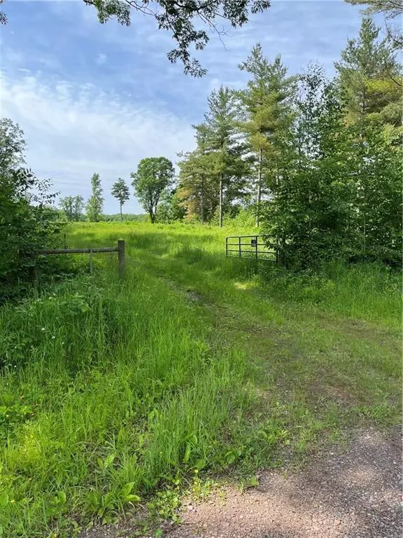 Bruce, WI 54819,81 acres Pinnow Road