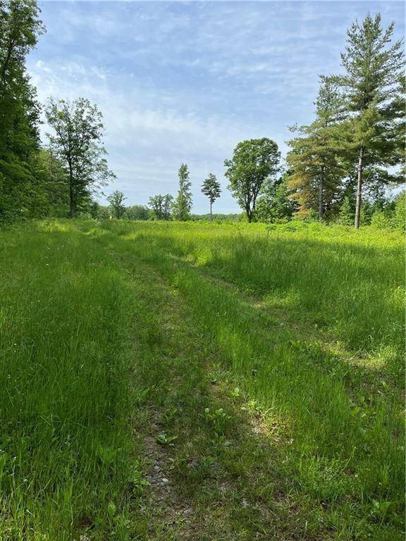 81 acres Pinnow Road, Bruce, WI 54819