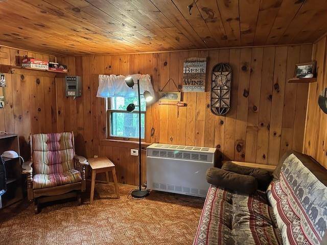 Hayward, WI 54843,11006 Grosbeak Lane #2