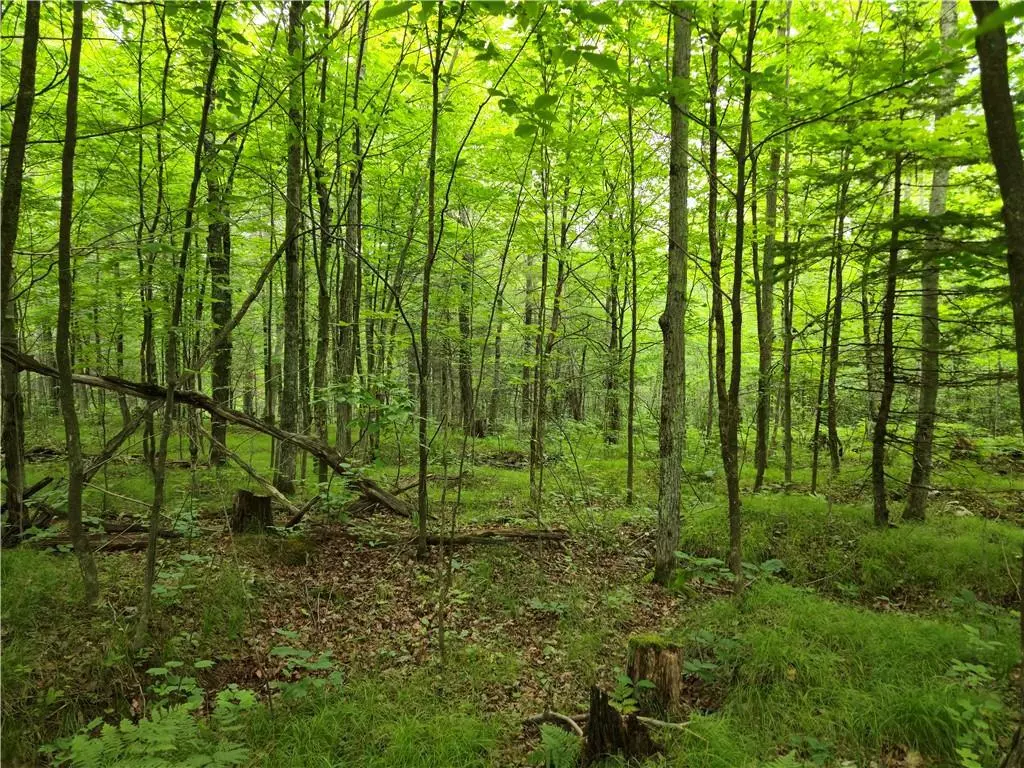 Cable, WI 54821,Lot 31 & 32 Woodcrest Drive