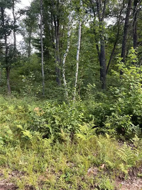 Siren, WI 54872,Lot 17 Jamesway Road