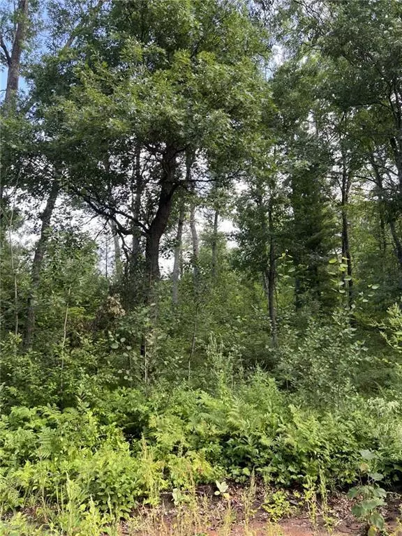 Siren, WI 54872,Lot 17 Jamesway Road