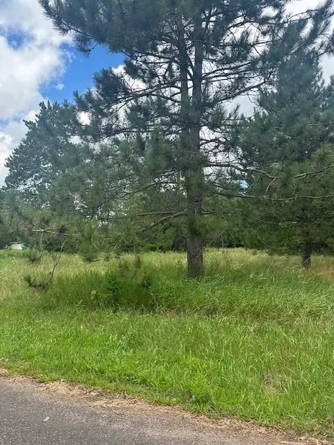 Spooner, WI 54801,0000 Scott Dr