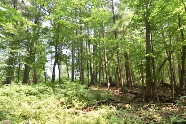 Chetek, WI 54728,0 24 3/4 Street