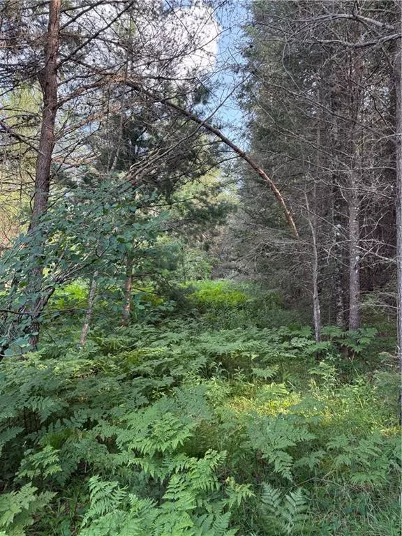 Hayward, WI 54843,0 Tagalder Trail
