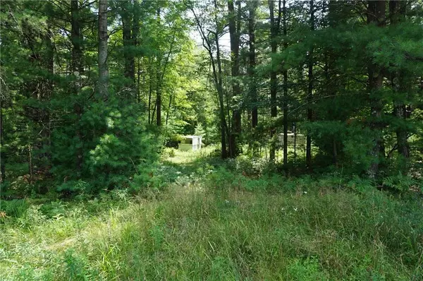 Merrillan, WI 54754,N9390 County Road