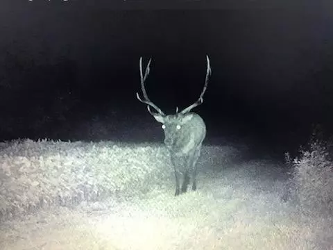 N8046 Snow Creek Street, Black River Falls, WI 54615