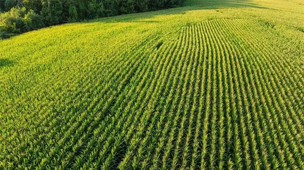 Menomonie, WI 54751,0 420th Avenue