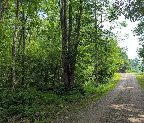 0 Price Dam Road, Winter, WI 54896