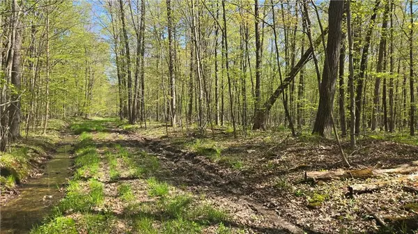 Conrath, WI 54731,N 900 Joes Road