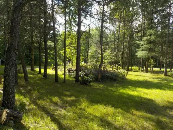 Siren, WI 54872,5530 Dake Road